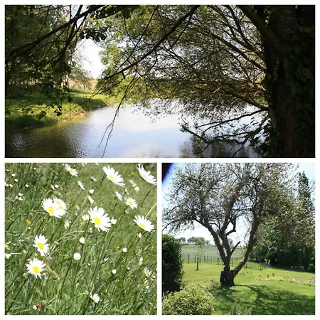 Castanea, D'hotes 住宿加早餐酒店