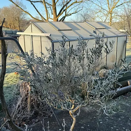 Castanea, D'hotes 3*