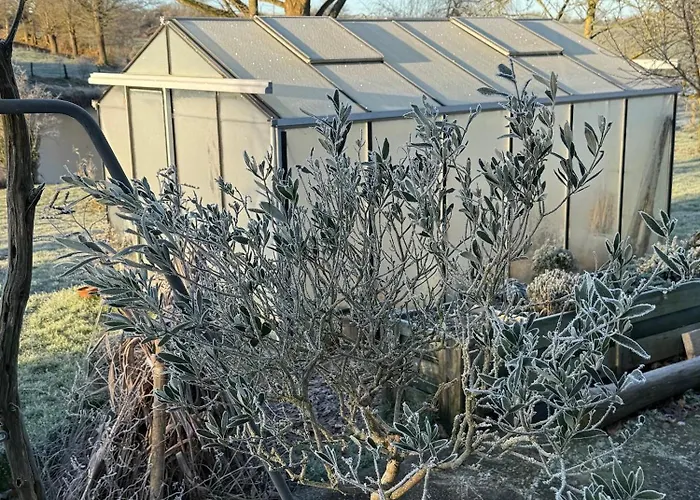 Castanea, D'hotes 3*